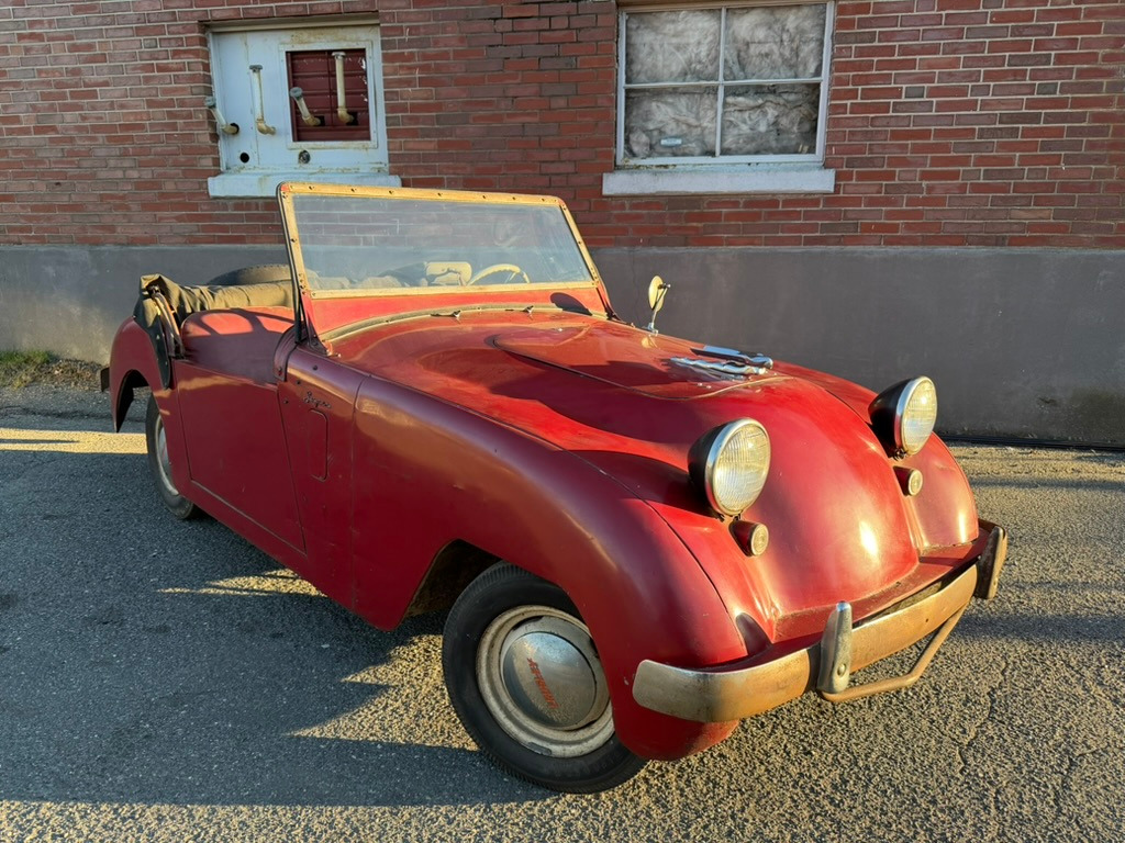 希少 1950s プードル ビンテージ USA ロカビリー ミッドセンチュリー